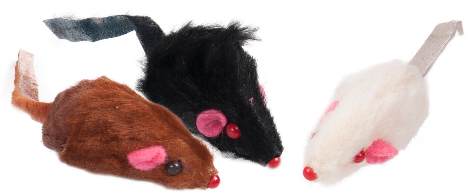 FL 504370 CT MOUSE COZY 5 CM - CANISTER