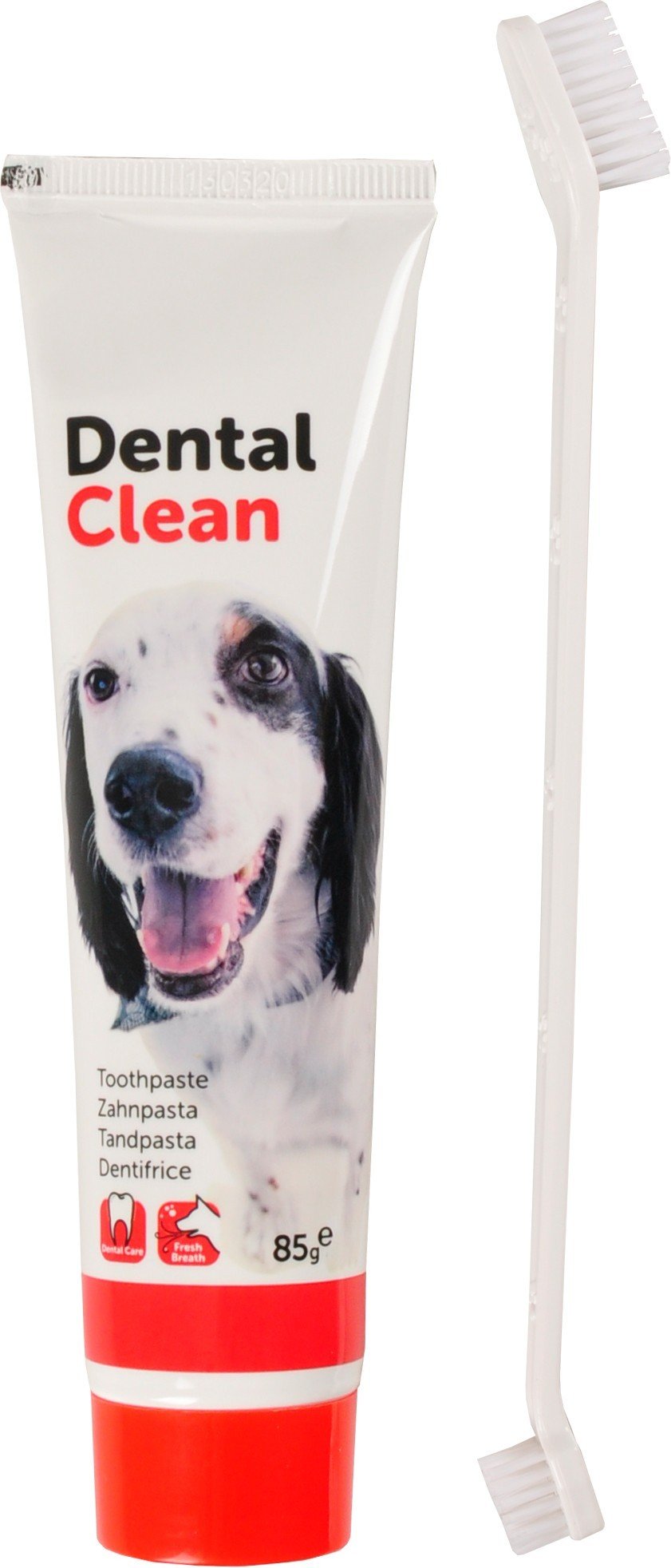 FL 510955 Petcare toothpaste+toothbrush set