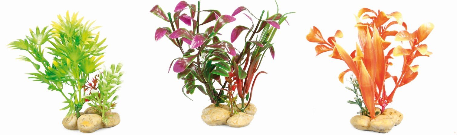 FL 406420 AQ.PLANT WITH STONES - S