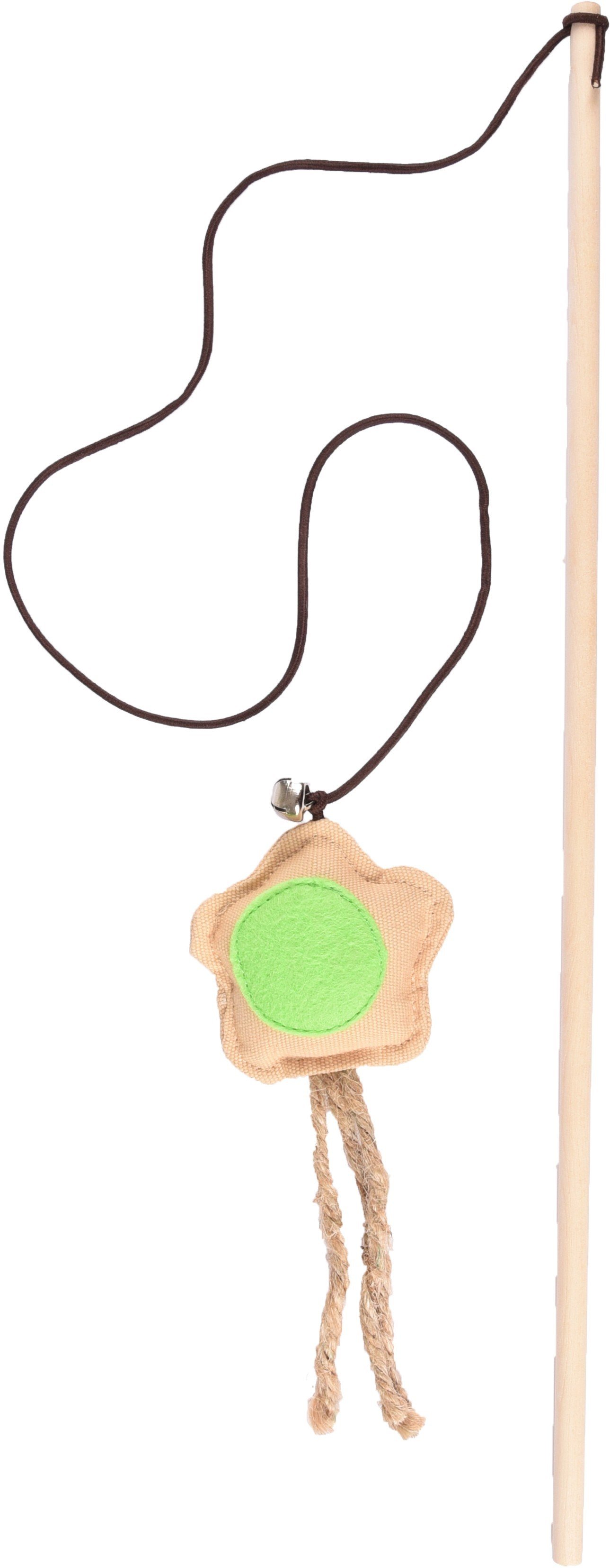 FL 1030497 Cat tangler, nature flower