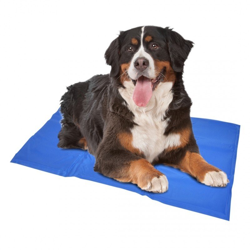 DV 121015 COOLING MAT XL - 96x81cm blue