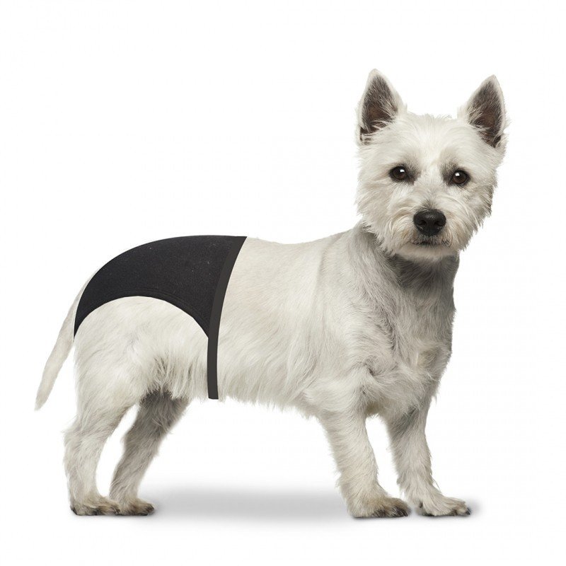 DV 4705123 DOG PANTS S 24-31cm