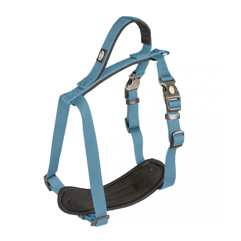 DV 10979 NORTH HARNESS NYLON 50-65cm/20mm petrol