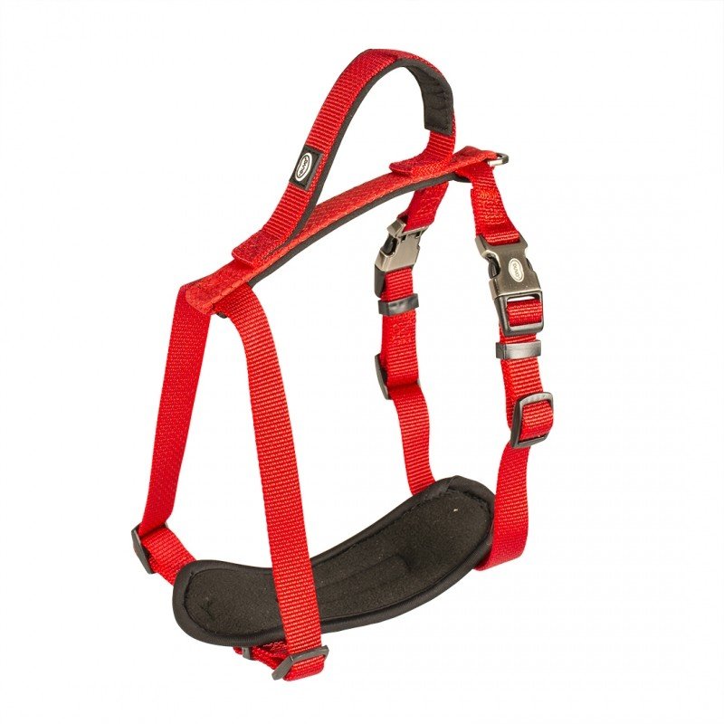 DV 10994 NORTH HARNESS NYLON 80-100cm/25mm red