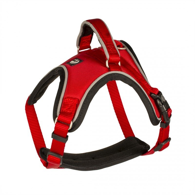 DV 11078 WEST HARNESS NYLON 65-80cm/25mm red