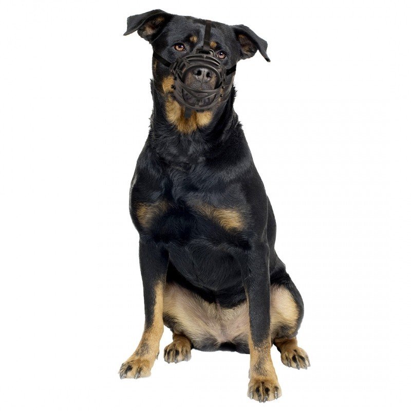 DV 11441 Dog Muzzle Rubber Xlarge black/red