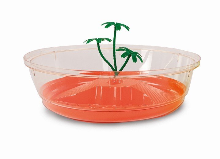 MP Terarijum Nisida Maxi f33