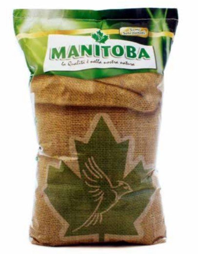 MN 25kg Katiang Jode - Mung Bean Green