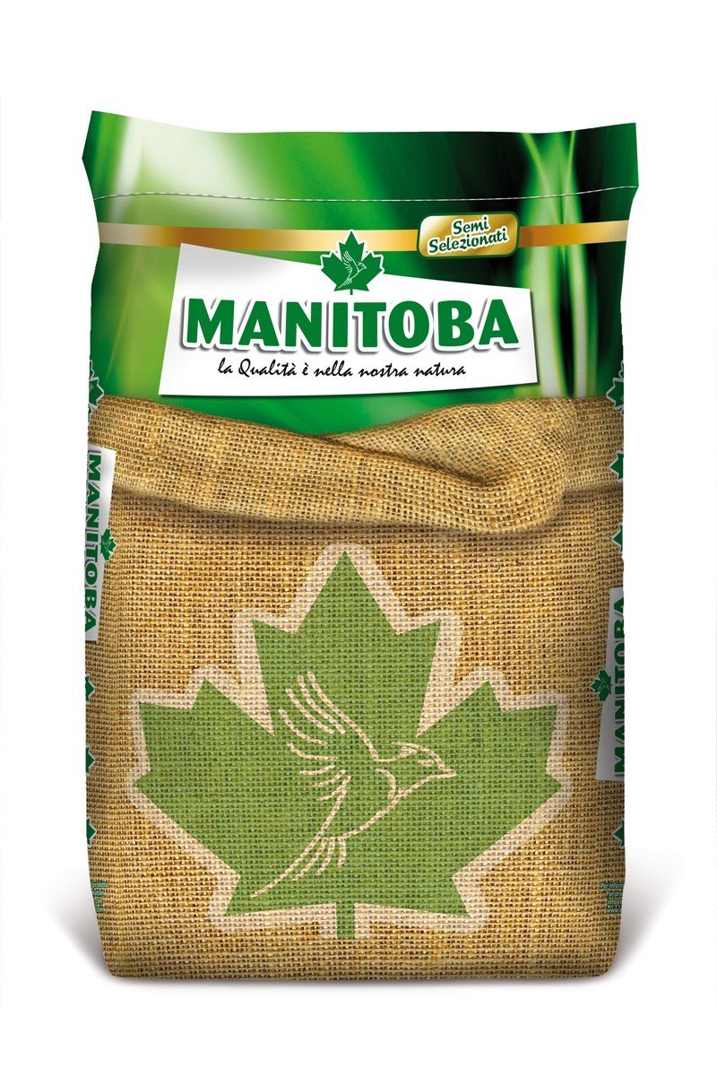 MN 20kg Seme Di Lino Marrone Sacco Da Laneno Seme