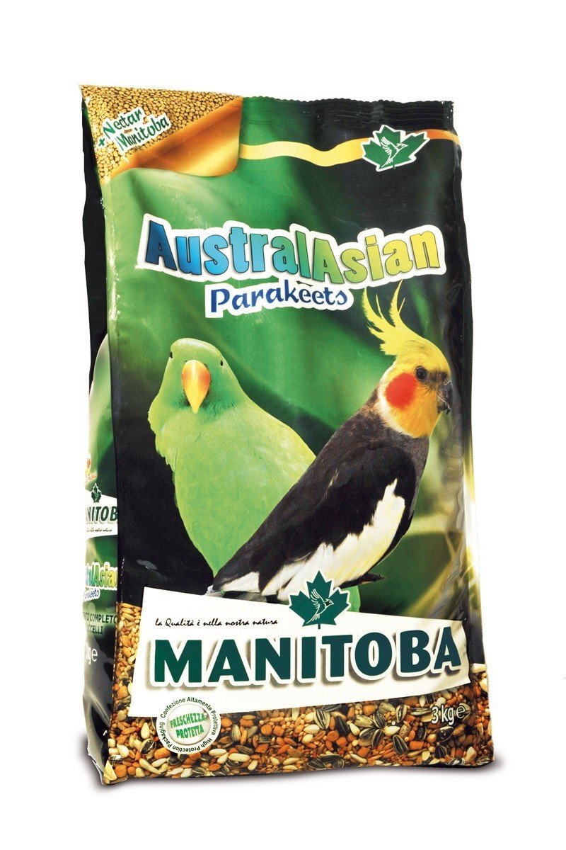 MN 20kg Parakeets Nimfe Austral-Asia