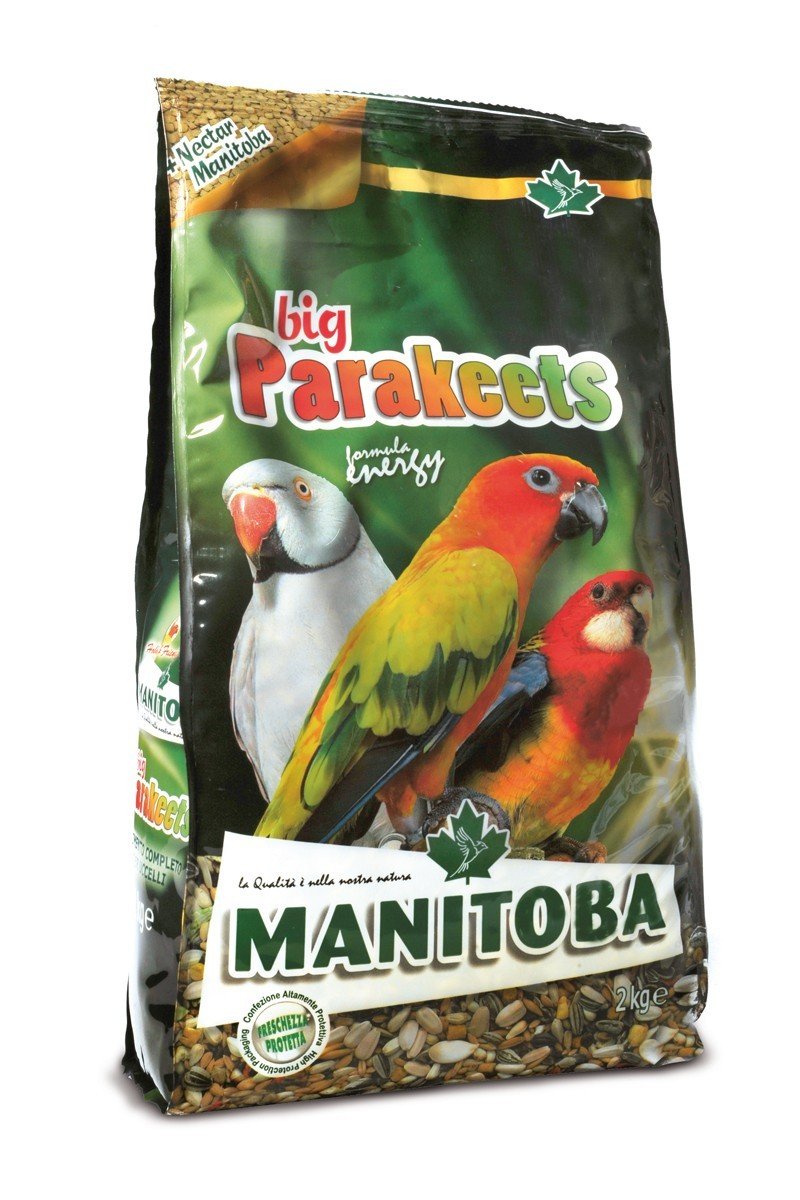 MN 15kg Big Parakeets Energy Nimfe