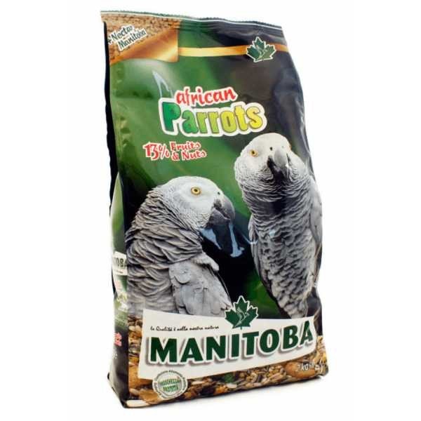 MN 2kg African Parrots